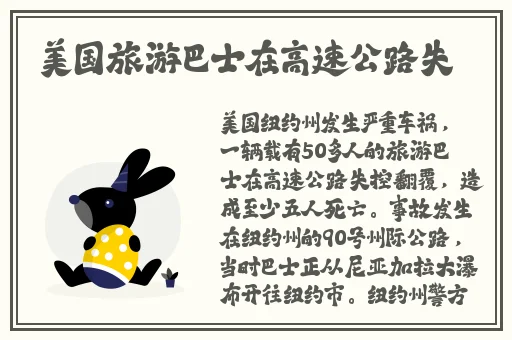 英语老师的兔子好软水好多